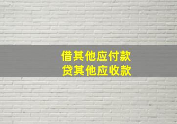 借其他应付款 贷其他应收款